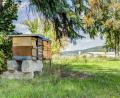 Bild: Lüdecke
"Green Company": Auf dem Firmengelände unterhält der Amberger Mittelständler Lüdecke einige Bienenstöcke. Den Honig bekommen Geschäftspartner.