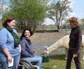 Bild: szl
Seit 2017 hat Jutta Fischer (rechts) ihren eigenen Lama-Hof mit fünf Tieren bei Terschnitz. Christina Ponader, Projektleiterin vom Netzwerk Inklusion, und Mitterteichs Behindertenbeauftragte Doris Scharnagl-Lindinger (von links) besichtigen das Heimat-Unternehmen, um den Hof in den Freizeitführer „Freizeit Inklusiv“ aufzunehmen.