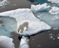 Bild: DigitUlf Mauder/dpa
Am Polarkreis gibt es wegen der Erderwärmung weniger Eis.