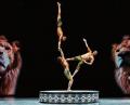 Bild: exb/Circus Afrika
Akrobaten präsentieren künstlerische Choreographien.