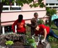 Bild: exb
Viel Spaß macht den Kindern der offenen Ganztagsschule das Bepflanzen einer Kräuterschnecke.