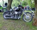Bild: hme
Heiße Öfen sind das Aushängeschild auch beim 19. Motorradtreffen in Neudorf.