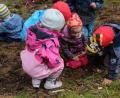 Bild: Susanne Forster
Kleine Entdecker erkunden den Waldboden.