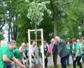 Mitglieder des Obst- und Gartenbauvereins mit ihrem Vorsitzenden Klaus Fischer, Bürgermeister Lothar Höher, Wolfram Vaitl, dem Präsidenten des Landesverbands , Reinhold Wildenauer von der Bürgerliste und Stadträtin Hildegard Ziegler beim Einpflanzen der Silberlinde, die der Bayerische Landesverband für Gartenbau und Landespflege stiftete.