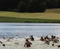 Bild: hä
Der 34. Volkstriathlon der Wasserwacht am 6. Juli wird wieder mit der Schwimmstrecken im Rothenbürger Weiher beginnen.