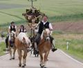 Bild: ads
Nach gutem Brauch führt Markus Bierler mit dem Kreuz auf seinem Haflinger den Reiterzug beim alljährlichen Pfingstritt in Kemnath an.