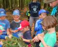Bild: fvo
Waldtag des Kindergartens mit Jäger Markus Waldhier (rechts)