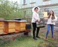 Bild: Evi Wagner
Es summt - und das nicht nur in StefanieZehetbauers (links) Garten. Die leidenschaftliche Imkerin erntet regelmäßig echten Amberger Stadthonig. Dafür sind sie kleinen Bienen in der ganzen Stadt unterwegs, um Nektar zu sammeln.