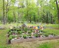 Bild: Ute Schieder
Das Grabfeld für Sternenkinder auf dem Raigeringer Waldfriedhof.
