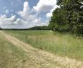 Bild: Gabi Schönberger
Rechts der Bundesstraße 22 zwischen Altenstadt und Weiden entstehen in der Sauernlohe ein Gewerbe- und angrenzend ein Mischgebiet, in dem auch eine Wohnbebauung ermöglicht wird. Der gesamte Verkehr von und zur B 22 wird über eine Ampel geregelt.