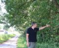 Bild: sne
Forstamtsrat Martin Gottsche besichtigt die Eiche an der Staatsstraße 2168.