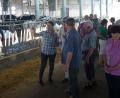 Bild: haa
Auf dem Milchviehbetrieb La Briata stehen 200 Milchkühe. Die Jahresleistung der „Holsteiner“ liegt bei etwa 10 000 Liter Milch. Der Verband Landwirtschaftliche Fachbildung ließ sich hier über die Situation der Milchbauern in Italien informieren.
