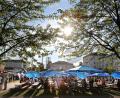 Bild: Wolfgang Steinbacher
Wunderbarer Sonnenschein und fetzige Musik: Beim Campus-Fest trifft sich Jung und Alt, Studenten und Alumni am Abend vor dem Altstadtfest im Innenhof der Ostbayerischen Technischen Hochschule.