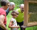 Bild: hcz
Interessant für Groß und Klein: das Innenleben eines Bienenstocks.