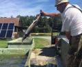 Bild: ca
Fliegender Fisch: Bernhard Hart wirft einen sibirischen Stör in ein Becken. Im Hintergrund ist die Solarstromanlage zu sehen, mit der die Warmwasserbrutbecken beheizt werden.