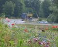 Bild: Benkhardt
Blühstreifen bei Erbendorf.