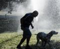 Bild: Paul Zinken
Abkühlung: Ein Mann und ein Hund laufen im Tiergarten unter der Wasserfontäne eines Rasensprengers hindurch.