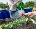 Bild: Inga Kjer/dpa
Auch im heimischen Garten kann man ohne chemische Pflanzenschutzmittel arbeiten und stattdessen auf natürliche Mittel zur Stärkung der Pflanzen und zum Schutz vor Schädlingen setzen.