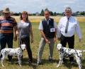 Bild: do
Nach einem ganztägigen Prüf-Marathon erwiesen sich bei den Rüden "Earl Emmerson vom Gramzower Kloster" mit Eigentümer Harald Böttcher (2.v.re.) und bei den Hündinnen "Chimaira von der Juraquelle" mit Züchterin Karola Kistler (2.v.li.) als Sieger des Tages. Es gratulierten Orga-Leiter Josef Kaufmann (li) und Richter Jürgen Rotsch (re)
