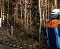 Bild: exb – Feuerwehr Wiesau 
Die Löschkräfte mussten sich durch zum Teil unwegsames Gelände kämpfen um an den Brandort zu gelangen.