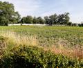 Bild: Hösamer
Auf diesem freien Grundstück nahe des Friedhofs Dachelhofen (im Hintergrund) sollen vier Mehrfamilienhäuser entstehen.