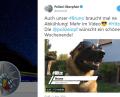 Bild: screenshot: twitter.com/polizeiopf
Polizeihund Bruno auf Twitter.