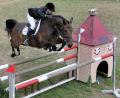 Bild: Petra Hartl
Perfektes Zusammenspiel von Pferd und Reiter - eine Aufnahme vom Reit- und Springturnier aus dem vergangenen Jahr.
