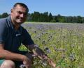 Bild: szl
Es zirpt und surrt rund um Alexander Weigl. Auf der Blühwiese an der B15 am Ortseingang von Tirschenreuth blühen aktuell vor allem lila Phycelia – Bienen, Hummeln, Grashüpfer und Maikäfer fühlen sich hier wohl. Auch Sonnenblumen gehen langsam in die Höhe, freut sich der Landwirt aus Pilmersreuth an der Straße.