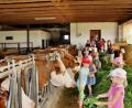 Bild: ds
Mit Begeisterung verhalfen die Kinder den Rindern im Offenstall des Biolandhofs von Erlebnis-Bäuerin Ulrike Appel (rechts) zu einem zusätzlichen Frühstück mit frischem Grün.