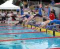 Bild: gb
Hochbetrieb herrschte am Wochenende bei den Oberpfalzmeisterschaften im Freibad Tirschenreuth.