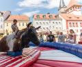Bild: dtr
Bullriding in Marktredwitz.