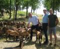 Bild: exb/Ulrike Meixner
Dennis Gruber erläutert Markus Kurz vom Verein Naturpark Oberpfälzer Wald und dem Neunburger Bürgermeister Martin Birner (im Bild von rechts) die Beweidung des Druidensteins mit Kamerunschafen und Ziegen.