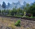 Bild: exb
Böschungsbrände haben am Mittwochvormittag den Bahnverkehr auf der Strecke Amberg-Schwandorf zum Erliegen gebracht.