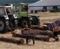 Bild: exb
Am Sonntag, 14. Juli, ist beim Feuerwehrjubiläum in Trossau Baumstammziehen angesagt. In mehreren PS-Klassen wetteifern die Fahrer von Oldtimern und hochmodernen Schleppern um die schnellste Zeit und um den Sieg.