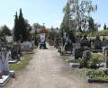 Bild: Wolfgang Steinbacher
Stichwort Barrierefreiheit: Die Wegeführung im Katharinenfriedhof in Amberg soll verbessert werden.