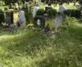 Bild: Petra Hartl
Das hohe Gras auf dem Raigeringer Waldfriedhof erschwert den Zugang zu den Gräbern.