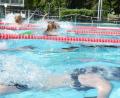 Bild: Gabi Schönberger
Vier Bahnen sind für den Triathlon im Schätzlerbad gesperrt. Die Schüler schwimmen 100 Meter, danach muss ein Haarbandgummi an den Staffelpartner weitergegeben werden. Es folgen drei Kilometer Fahrradparcour und 1,3 Kilometer Laufstrecke.