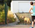 Bild: e
Der Zaun an der östlichen Seite des Spielplatzes am Mühlweg wird (nach links) zurückgebaut, dadurch entsteht ein Durchgang von rund 1,40 Meter Breite nach hinten durch die Büsche hinunter in den Kapellenradweg – zur Zufriedenheit von Spazier- und Gassi-Gängern