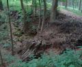 Bild: schß
Das „Teufelsloch“ zwischen Erlheim und Hohenkemnath wird immer wieder von Unbekannten mit Grünabfällen oder Steinen verfüllt.