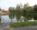 Bild: br
Das Naturbad Selingau bereit den Gemeinderäten hinsichtlich der Algenproblematik weiterhin Kopfzerbrechen. Der Einsatz von Wasserbelüftern, wie vom Arbeitskreis „Freibad Selingau“ angeregt, ist vorerst vom Tisch.