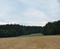 Bild: dob
Im Waldgebiet "Elm" im Vohenstraußer Ortsteil Waldau kam es am Samstagnachmittag zu einem tragischen Unglück, bei dem ein 48-jähriger Mann sein Leben verlor.