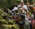 Bild: cr
Mit großer Neugierde sahen sich die Viertklässler in Paulusbrunn um.