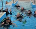 Bild: jr
Kinder im Becken des Mitterteicher Freibades. 20 Kinder nahmen am Samstag zum Auftakt des Ferienprogramms am Schnuppertauchen teil.