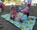 Bild: adj
Den Kindern aus Altenstadt und Floss schmeckt die gemeinsame Brotzeit auf der Picknickdecke bestens. Sie genießen ihren Ausflug in die Gastkrippe.