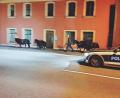 Bild: Polizei Amberg
Einen gemütlichen Ausflug haben sich vier Ponys in Schnaittenbach gegönnt: Die Freude währte aber nur kurz, denn die Polizei erwischte die Ausreißer am frühen Donnerstagmorgen.