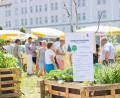 Bild: Verena Fitzgerald
Der erste Urban-Garden in Amberg ist geöffnet.