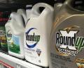 Bild: dpa/Haven Daley
"Roundup" ist einer der bekanntesten Unkrautvernichter, der Glyphosat enthält.