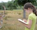 Bild: Gabi Schönberger
Die Ferienprogramm-Kinder nehmen die Tiere im Tierpark Gleitsbachtal genau unter die Lupe.