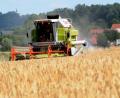 Bild: Stephan Huber
Landwirt Schmidt aus Mörswinkl (Landkreis Amberg-Sulzbach), holt mit seiner Tochter und dem Schwiegersohn die Wintergerste bei Kummerthal ein.Mit Mähdrescher, Bulldog und Hänger kommt schweres Gerät zum Einsatz.