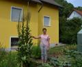 Bild: jr
Diese prächtige Königskerze wächst im Garten von Mesnerin Helga Weiß in Großbüchlberg. Gut 2,80 Meter ist die Pflanze groß geworden. Zum Feiertag Mariä Himmelfahrt wird die Pflanze geerntet und für Kräuterbüschel mit verwendet.